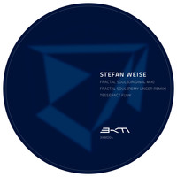 Stefan Weise - Fractal Soul / Tesseract Funk