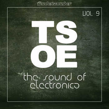 Various Artists - TSOE (The Sound of Electronica), Vol. 9