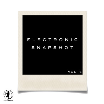 Various Artists - Electronic Snapshot, Vol. 6