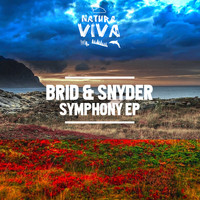 Brid & Snyder - Symphony