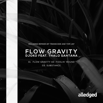 DJOKO feat. Thalo Santana - Flow Gravity