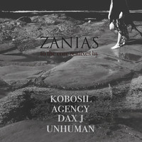 Zanias - To the Core Remixes