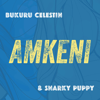Snarky Puppy - Amkeni
