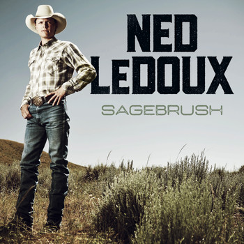 Ned LeDoux - Some People Do