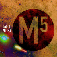 Dale T - Felina