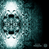 Dust of Vida - Pranavida
