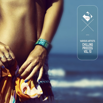 Various Artists - Chilling Process, Vol.10