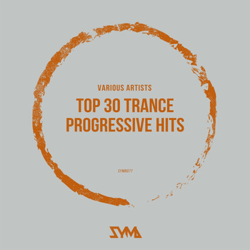 Various Artists - Top 30 Trance & Progressive Hits