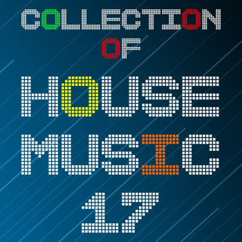 Various Artists - Collection of House Music, Vol. 17