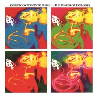The Teardrop Explodes - Everybody Wants To Shag... The Teardrop Explodes