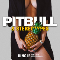Pitbull & Stereotypes feat. E-40 & Abraham Mateo - Jungle