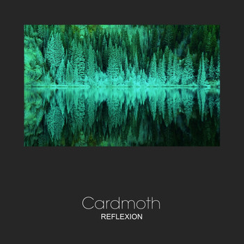 Cardmoth - Reflexion