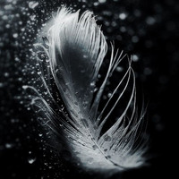 Tommy G - FEATHERLIGHT BOSSA