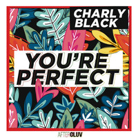 Charly Black - You're Perfect