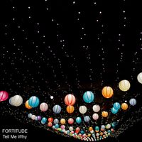 Fortitude - Tell Me Why