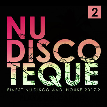 Various Artists - Nu-Discoteque (Finest Nu-Disco & House 2017.2)