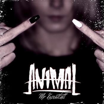 Animal - Mr. Knowitall (Explicit)