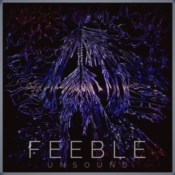Feeble - Unsound (Explicit)