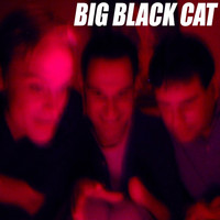 Big Black Cat - Big Black Cat