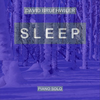 David Bruehwiler - Sleep