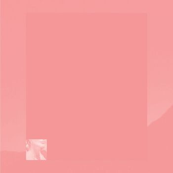 Pinkcourtesyphone - Indelicate Slices