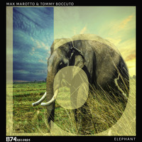 Max Marotto & Tommy Boccuto - Elephant