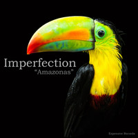Imperfection - Amazonas