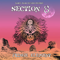 Section 8 - Fringe Element