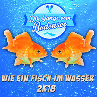 Die Jungs vom Bodensee - Wie ein Fisch im Wasser 2k18