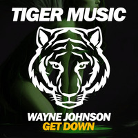 Wayne Johnson - Get Down