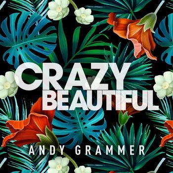 Andy Grammer - Crazy Beautiful EP