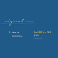 Calibre featuring DRS - Sunrise