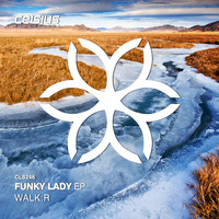 Walk:r - Funky Lady EP