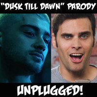 The Key of Awesome - "Dusk Till Dawn" Parody - Unplugged