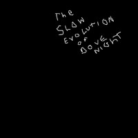 Dove Night - The slow Evolution of Dove Night
