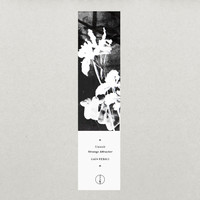 Umwelt - Strange Attractor EP (Digital)