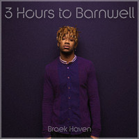Braek Haven - 3 Hours to Barnwell