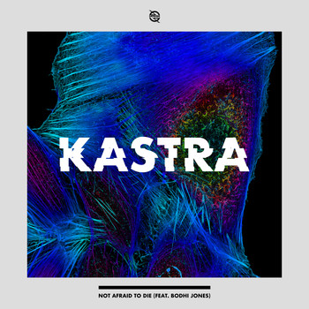 Kastra - Not Afraid