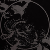 Fister &  CHRCH - Fister/CHRCH Split