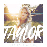 Taylor Acorn - Put It in a Song