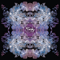 Zomby - Digital Flora