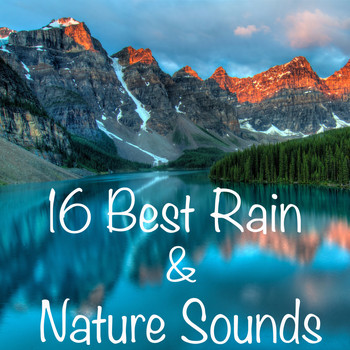 Rain Sounds, Meditation Music Zone, Nature Sounds Nature Music - 16 Best Rain And Nature Sounds with no Fades