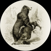 Alejandro Mosso - Nightwalker