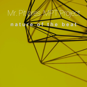 Mr. Pit - Nature Of The Beat