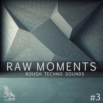 Various Artists - Raw Moments, Vol. 3 - Rough Techno Sounds (Explicit)