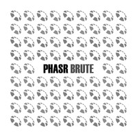 PHASR - Brute