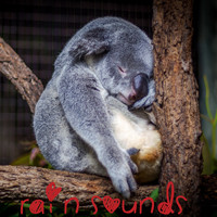 Rain Sounds, Meditation Music Zone, Nature Sounds Nature Music - 18 New Rain Tracks -Natural Rain Noises for Meditation