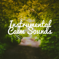 China Zen Tao - Instrumental Calm Sounds: Relaxation Moods, Spa Music, Sleep Meditation Music, Zen Therapy, Sea Ambient & Nature