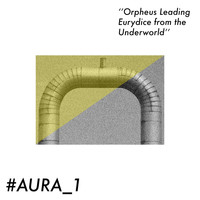 aura 1 - Orpheus Leading Eurydice from the Underworld