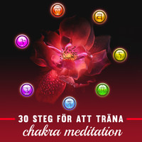 Chakra helande musikakademi - 30 steg för att träna chakra meditation